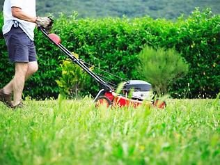 cortadores de grama "Makita": auto-propulsão e não-auto