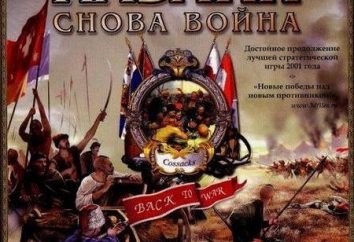 Códigos para "Cossacks: Back to War" e as características do jogo