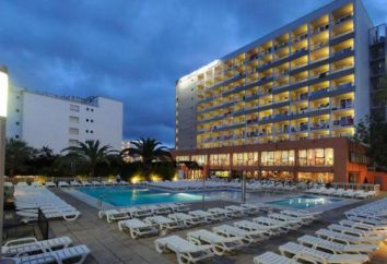Albergo Medplaya Hotel Santa Monica (Spagna): recensioni