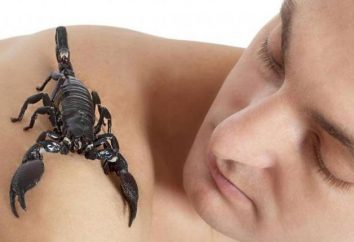 Skorpion-Mann: was für eine Frau, die er liebt, welche Qualitäten sie haben sollten?