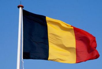Come funziona la bandiera belga e che cosa significa?