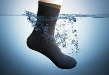 ¿Cuáles son los calcetines a prueba de agua?