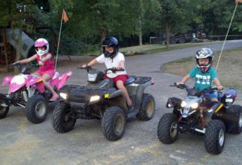 ATV para niños en la gasolina de 10 años: revisión, especificaciones, fabricantes, comentarios