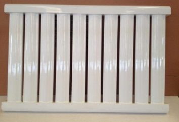 Comment choisir un radiateur de chauffage sous vide. radiateurs à vide: avis