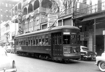 Tennessee Williams' Un tram chiamato 'Desire': sintesi per capitolo