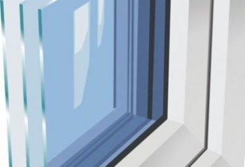 De ahorro de energía ventanas de doble cristal – este calor extra en su casa