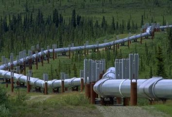 Le transport par pipeline Russie, ses caractéristiques et les perspectives de développement
