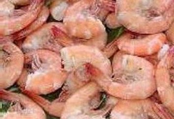 alfabetização de culinária: o dano e benefício de camarão