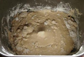 Preparación de la pasta en la máquina para hacer pan para el ravioli