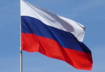 La posición geográfica de Rusia: los pros y los contras. posición económica y geográfica de la Federación Rusa