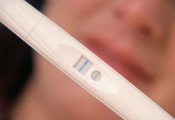 Quando e come fare un test di gravidanza