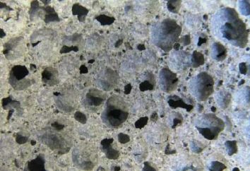 Pareti in gesso di cemento cellulare: la tecnologia, le attrezzature necessarie
