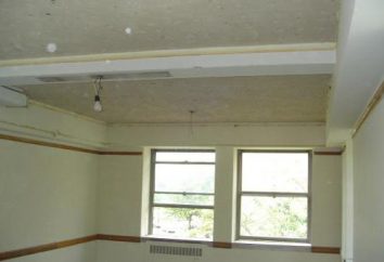 Est-il possible de supprimer le plafond suspendu? Comment supprimer le seul plafond suspendu: instructions étape par étape et recommandations