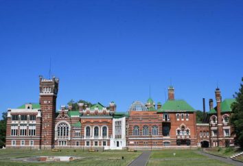 Castelo Sheremetievs: descrição, história, atrações e fatos interessantes