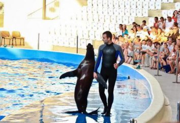 Anapa: dolphinarium "Nemo"