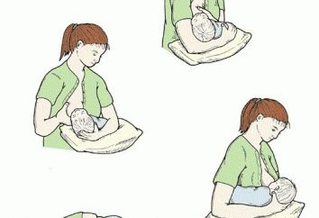 Cómo alimentar al recién nacido con leche materna?