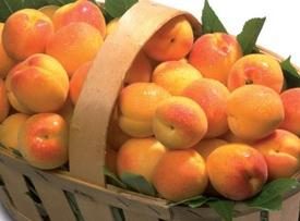 Et vous savez toutes les propriétés utiles des abricots secs?