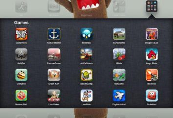Jak utworzyć folder na iPada: porady i wskazówki