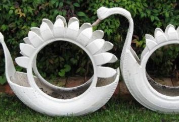 Swan do pneu com as mãos embelezar qualquer quintal