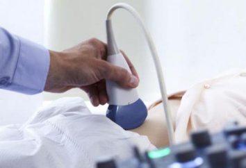 Ultrasonograficzne śledziony i wątroby: Opis preparatu, badania dekodowania