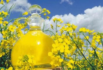 óleo de colza: benefícios e danos, o âmbito do