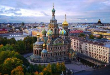Podróż do Petersburga na weekend z Moskwy