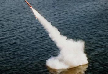 missile balistico "Sineva": caratteristiche e descrizione