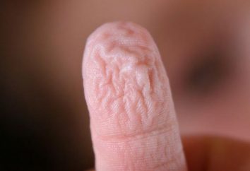 Pourquoi les doigts froncer les sourcils de l'eau: la réponse du corps à l'humidité