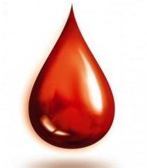 Come ha fatto il gruppo sanguigno. Il tipo di sangue più comune nel mondo