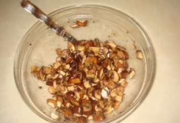 Salage miel agaric à la maison: plusieurs recettes