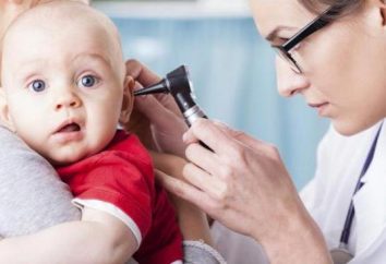 ¿Qué debo hacer si mi hijo se rasca las orejas?