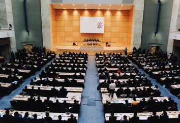 OMC – o que é? organização da OMC: as condições do país, a adesão