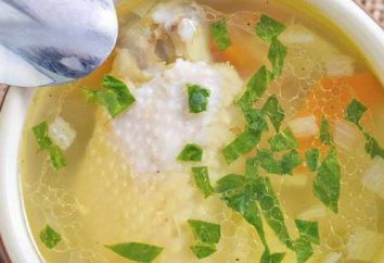 Come cucinare la zuppa di pollo con le tagliatelle in multivarka