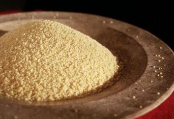 Nutriente porridge di Campo: le ricette