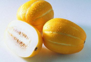 Odmiany i rodzaje melonów: zdjęcie i opis