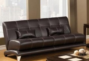 Leatherette Sofas – praktische Schönheit