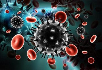 VIH: le diagnostic et le traitement, la prévention