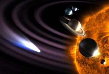la velocità della Terra intorno al sole. Qual è la frequenza di rivoluzione della Terra intorno al Sole?