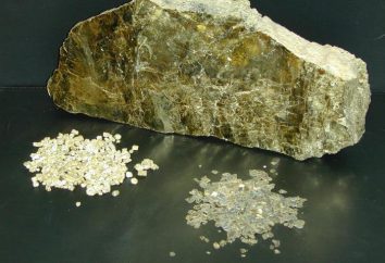 Che cosa è un minerale? Ferro deposito di minerale. minerale di Russia
