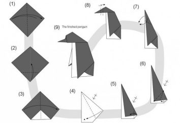 master class, jak zrobić origami rzemiosło pingwina