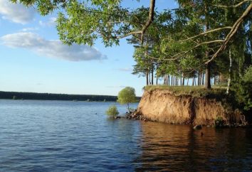 Volga – la fuente. Volga – el nacimiento y la desembocadura. La cuenca del Volga