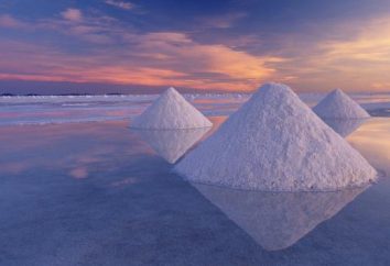 El lago más salado del mundo. Los lagos de sal más grandes del mundo