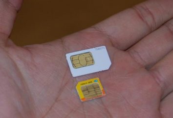 Come fare una scheda micro-SIM?