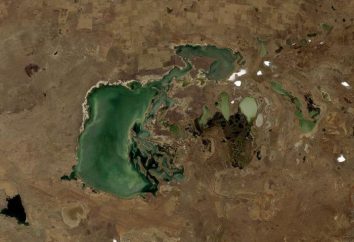 Lago Tengiz en Kazajstán: descripción, descripción