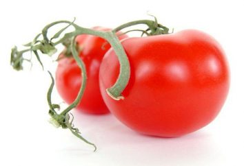 Pomidory syberyjskie opinii cud cechy upraw i plonów roślin uprawnych