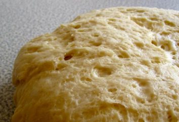 Como preparar a massa de fermento para assar a massa de pão e tortas salgadas?