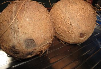 Jak otworzyć kokosa w domu bez utraty i przy minimalnym wysiłku