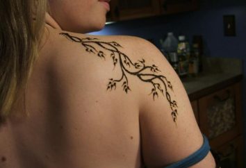 Quanto bastano i tatuaggi di henné e dove viene questa tecnica di disegno della figura?