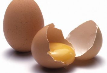 A composição dos ovos. A composição química de um ovo de galinha