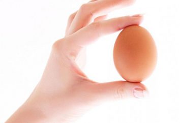 Wie schnell die Eier sauber, in wenigen Sekunden investieren?